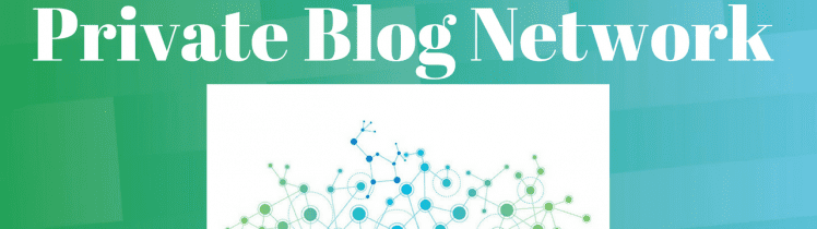 PBN (Private Blog Network)