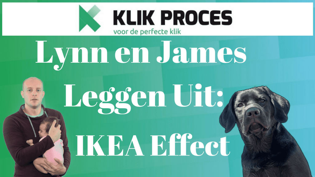 Ikea Effect: Impact van “Moeite Doen” Op Conversies