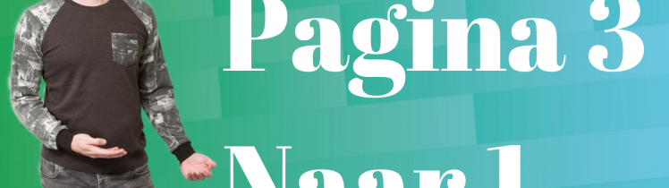 Pagina 3 naar 1