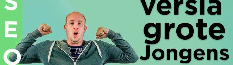 versla grote e-commerce spelers